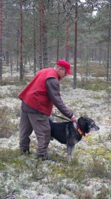 Koiramies
Koiran ja ohjaajan suhde näkyy rauhallisuutena yhteistyössä

